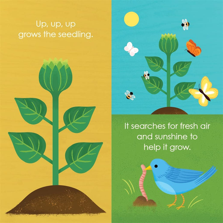 Montessori: Seed Work Book