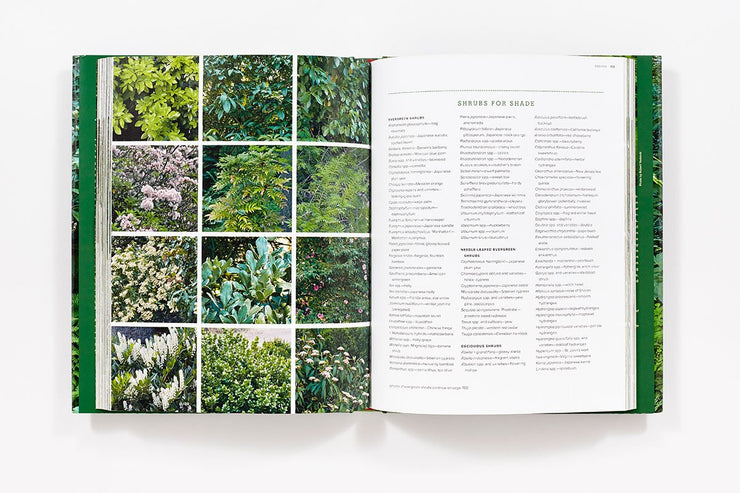 The New Shade Garden: Creating a Lush Oasis in the Age of Climate Change Book