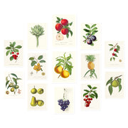 The Fruits Wall Collection
