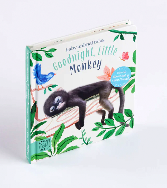 Goodnight, Little Monkey Book