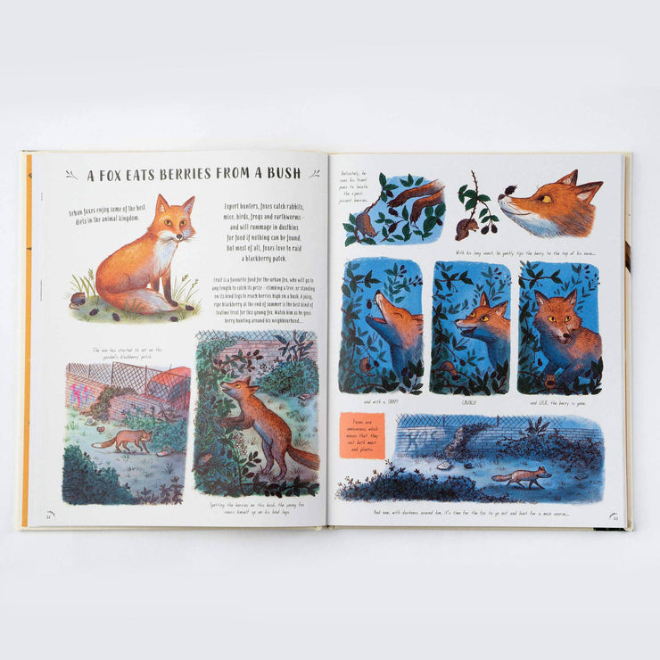 Slow Down: Bring Calm to a Busy World with 50 Nature Stories Book