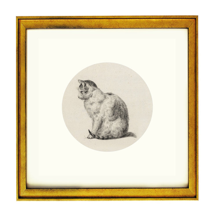 A cat sitting poised art print