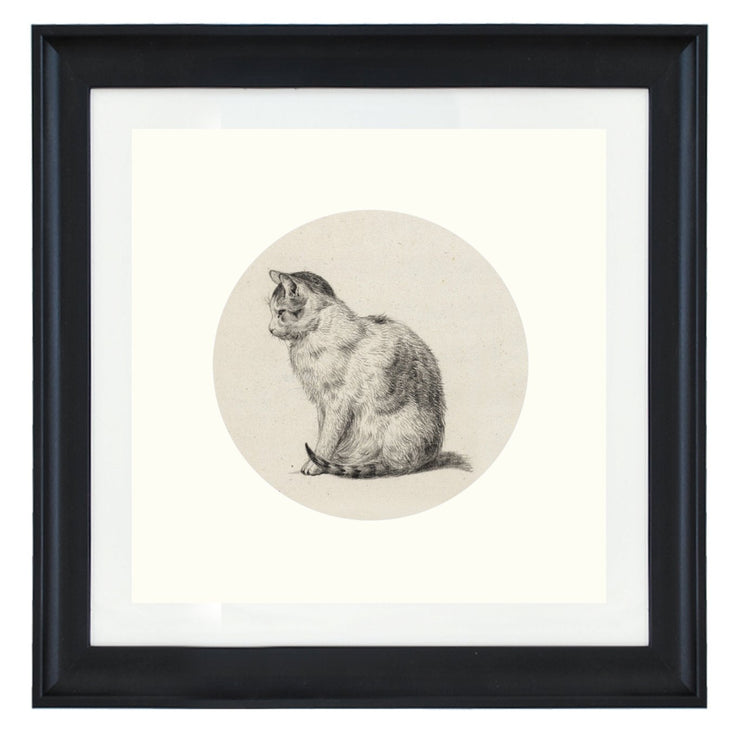A cat sitting poised art print